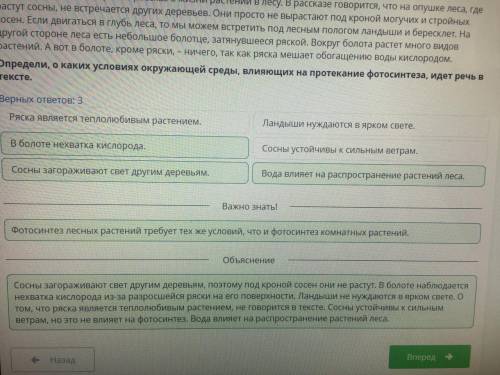 В одной из книг Алия причала рассказ о жизни растений в лесу. В рассказе говорится, что на опушке ле