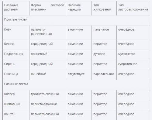 Определите тип листовых пластин, характер прикрепления листьев к стеблю, тип листорасположение