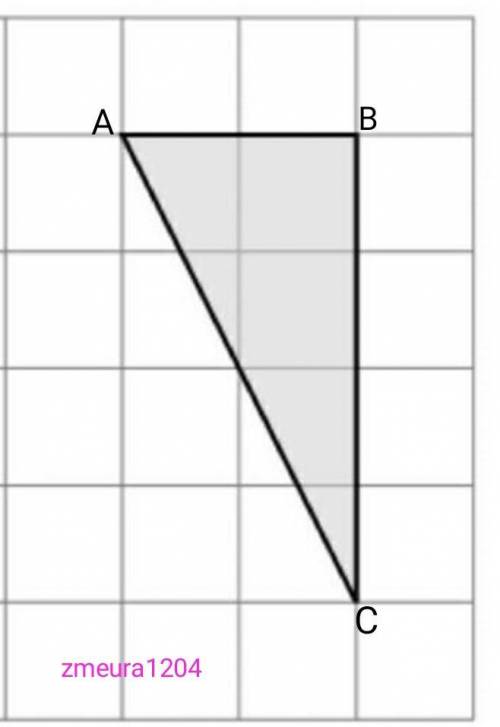 Найдите площадь треугольника ответ надо дать виде целой или десятичной дроби​
