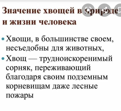 Значение плаунов, хвощей и папоротников в природе и в жизни человека? кратко