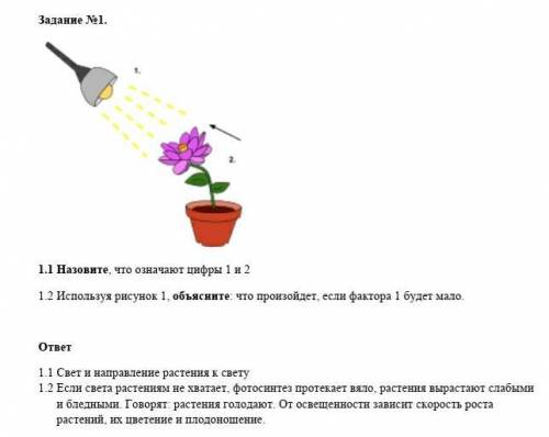 Назови, что означает цифры 1 и 2​