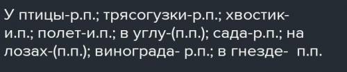 Прочитай. Спиши. Определи ствительныху птицы трясогузкиПодвижен хвостик узкий,Стремителен полёт.в уг