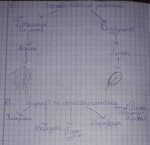 Задание 1 «Восстанови схему», ТИП ПИТАНИЯАвтотрофное(животные, грибы) ПИТАНИЯРАСТЕНИЯпочвенное питан