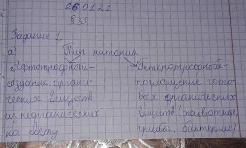 Задание 1 «Восстанови схему», ТИП ПИТАНИЯАвтотрофное(животные, грибы) ПИТАНИЯРАСТЕНИЯпочвенное питан