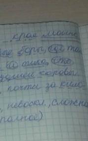 В Мещерском крае можно будет увидеть сосновые боры, где так торжественно и тихо, что бубенчики заблу