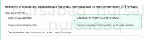 Определи утверждения, описывающие процессы, происходящие на пресинтетической стадии