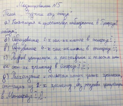 4. В каких фазах наблюдается: а) конъюгация и кроссинговер;б) образование двух гаплоидных клеток;в)