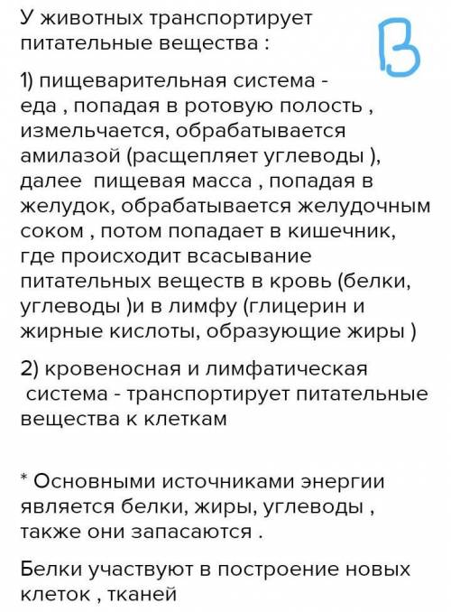 ответьте на вопросы: А. Какие вещества поступают в организм с пищей?Б. Какие системы обеспечивают тр