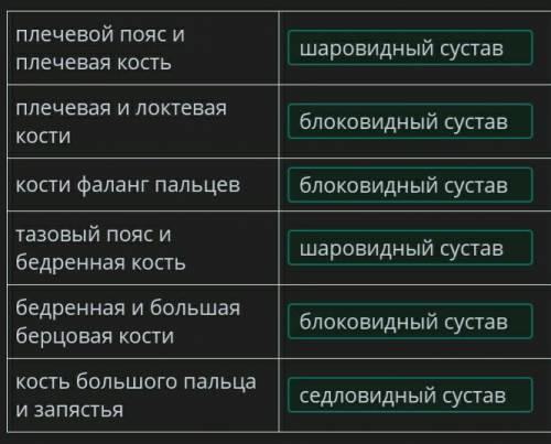 Сопоставь типы суставов с костями, которые входят в их состав. плечевой пояс и плечевая костьплечева