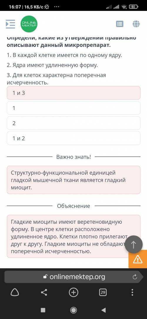 Определи, какие утверждения о видах мышечной ткани являются верными, а какие – неверными. Сердечная