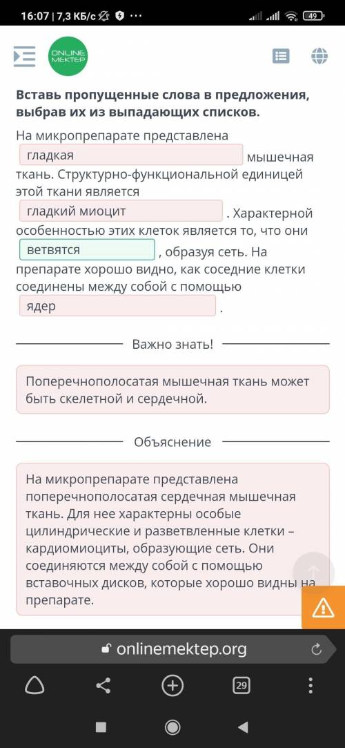 Определи, какие утверждения о видах мышечной ткани являются верными, а какие – неверными. Сердечная