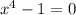 x^4-1=0