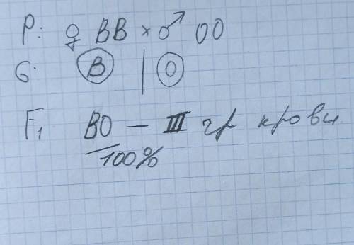 Женщина 3 группой крови (гомозигота) вступила в брак с мужчиной с 1 группой крови. Каковы генотипы п