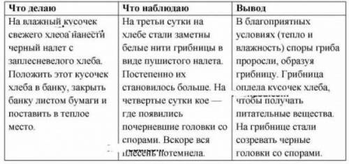 Подумай и ответь: Из споры при благоприятных условиях может развиться новая плесень