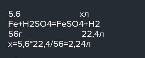 Какой объем водорода выделится при действии серной кислоты на 5,6 г железа?