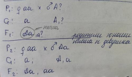 У человека праворукость доминирует юноша правша мать которого была левшой жениться на девушке левше