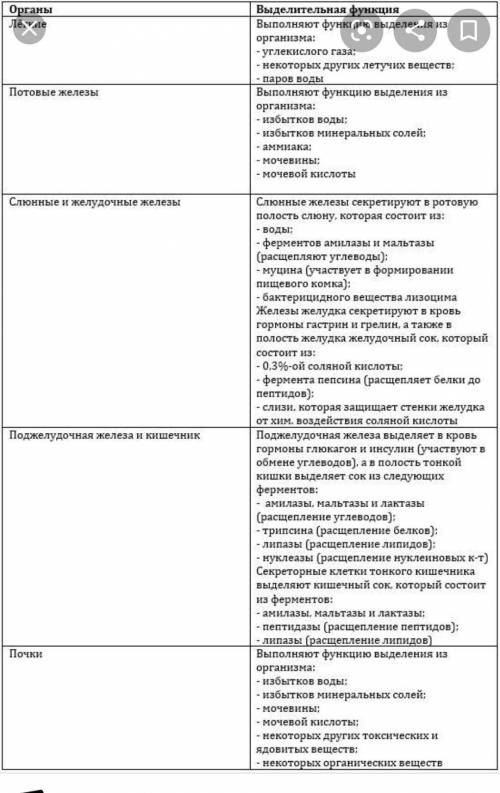 Заполните в тетради таблицы «Органы, выполняющие выделительную функцию» Органы Выделительная функция