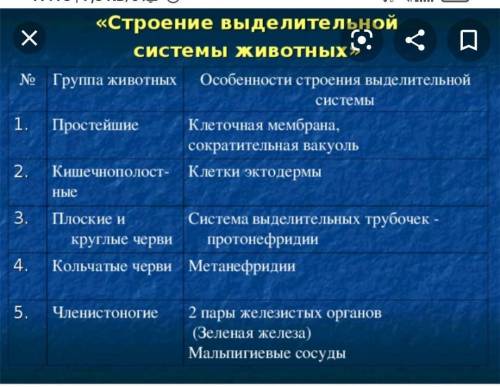 «Сравнение строения выделительной системы» Группа животных Особенности строения и работы выделительн