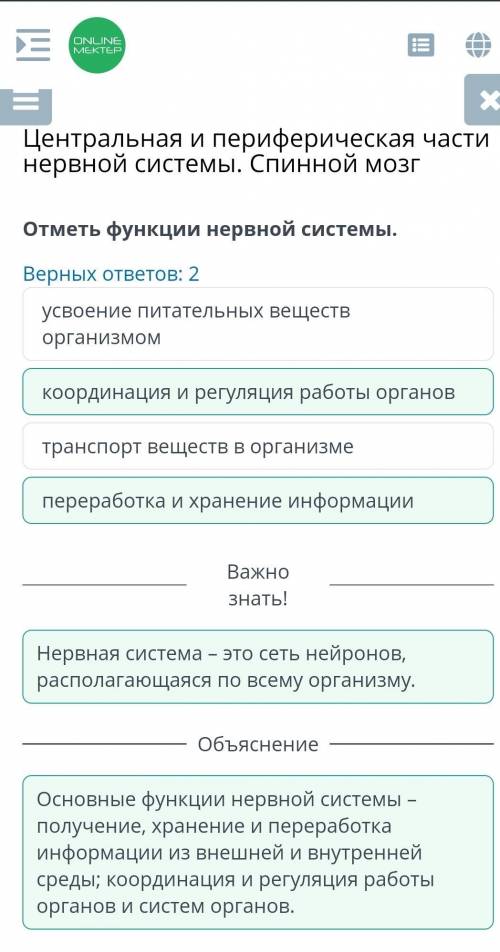 Отметь функции нервной системы. Верных ответов: 2координация и регуляция работы органовусвоение пита