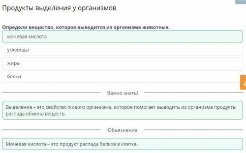 Продукты выделения у организмов Определи вещество, которое выводится из организма животных.мочевая к