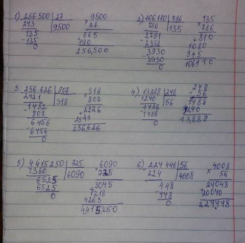 РАБОТА В ПАРЕ 5 Вычисли с проверкой.256 500 : 27106 110 : 786256 626 : 80713 888 : 2484 415 250:7252