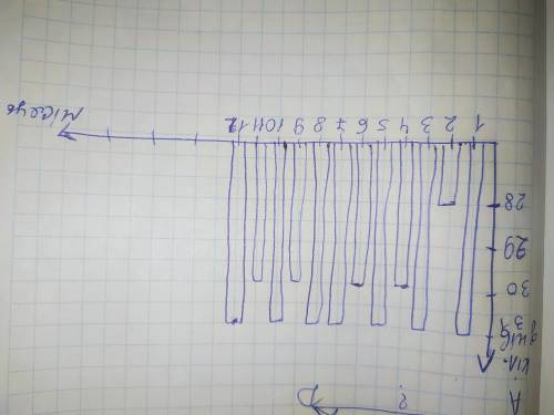 Побудуй діаграму кількості днів кожного місяця Намалюйте й розкажуть будь ласка. Зарание говорю дяку