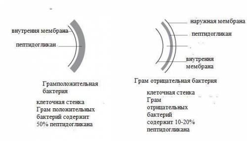 вопрос прикреплен фотографией. -Oбьясните неoбхoдимость в ней электрона и укaжите какой процесс пред