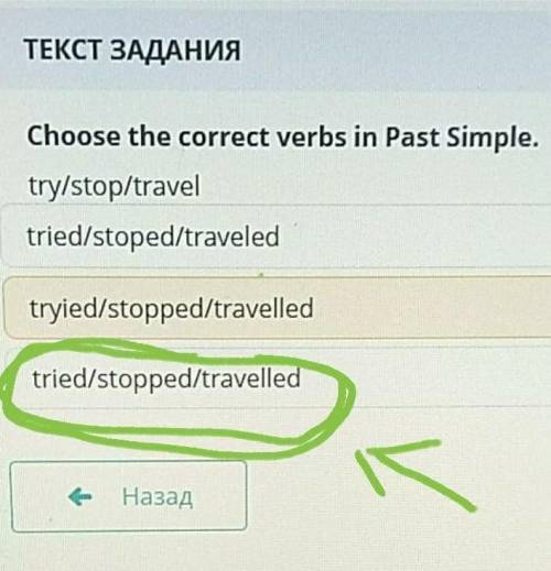 Choose the correct verb in Past Simple. try/ stop/ travel. tried/stoped/traveled/. tryied/stopped/tr