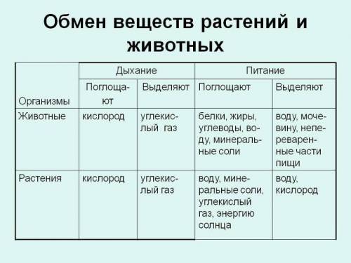 Продукты выделения, как происходит процесс выделения,растения животныесделайте таблицу​