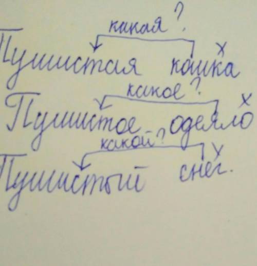 Существительное». пушистыйпушистаяпушистоеУпушистые3. С рисунков составь и запиши словосочетания «пр