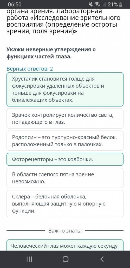 Укажи неверные утверждения о функциях частей глаза.Верных ответов: 2Зрачок контролирует количество с