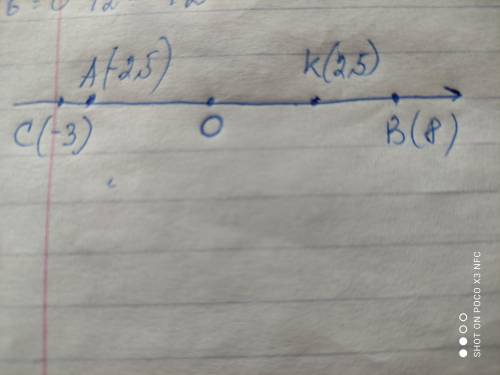 Начертите координатную прямую и отметьте на ней точки A (-2,5),B (8) К (2,5),C(- 3) Какие из отмечен