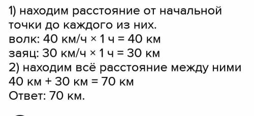 Волк и заяц одновременно бросились бежать из одной точки в разные стороныесли скорость волка в 40 км