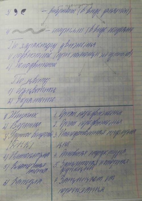 Конспект по биологии 5 класс 11 параграфф Пасечник​