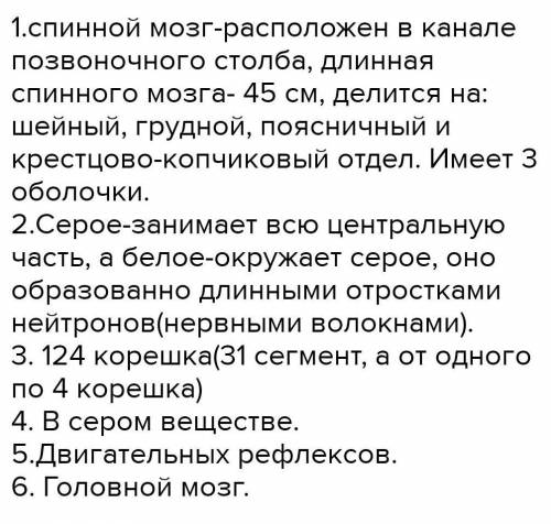 Каково строение спинного мозга?Что представляет собой серое и белое вещество спинного мозга?Как расп