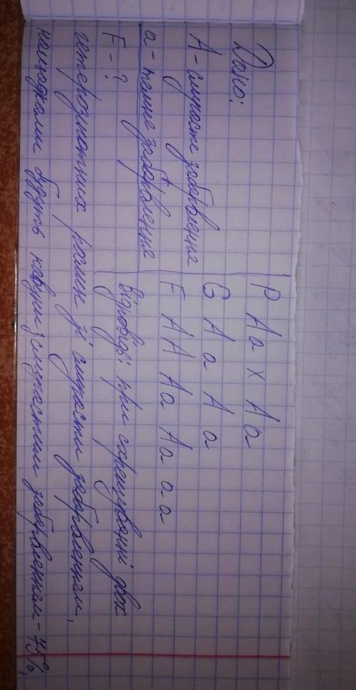 Темне забарвлення кавунів успадковується як рецесивна ознака. Домінантний ген повністю пригнічує рец