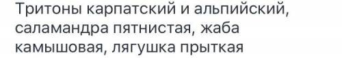 Назовите представителей класса земноводных занесенных в красную книгу