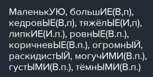 Спишите текст Выделите окончания и укажите падеж прилагательных во множественном числе однажды мне п