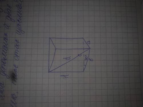 Основа прямої призми - прямокутний трикутник з гіпотенузою c і кутом 30°. Діагональ бічної грані, як