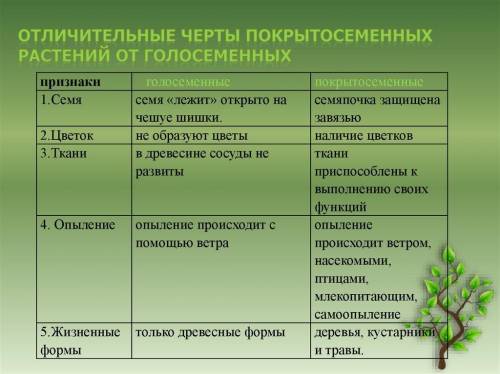 Как можно отличить в природе Голосеменные растения от Покрытосеменных растений? (Укажите не менее ше