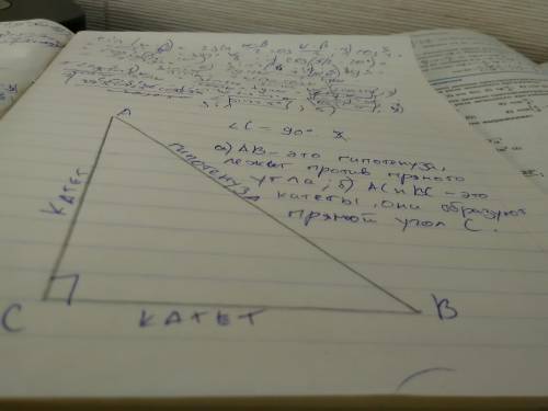 Геометрия В тетради начертите прямоугольный треугольник. 2. Отметьте прямой угол (значок – квадратик