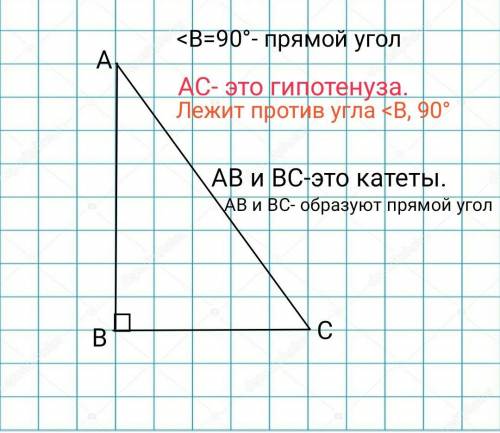 Геометрия В тетради начертите прямоугольный треугольник. 2. Отметьте прямой угол (значок – квадратик