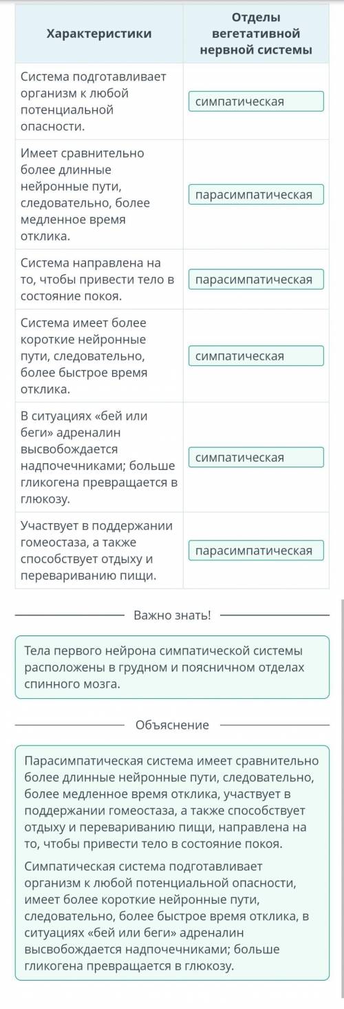 Нервная регуляция работы внутренних органов Соотнеси отделы вегетативной нервной системы с их характ