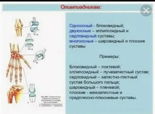 Нужны знающие биологию люди! Дайте характеристику суставу: