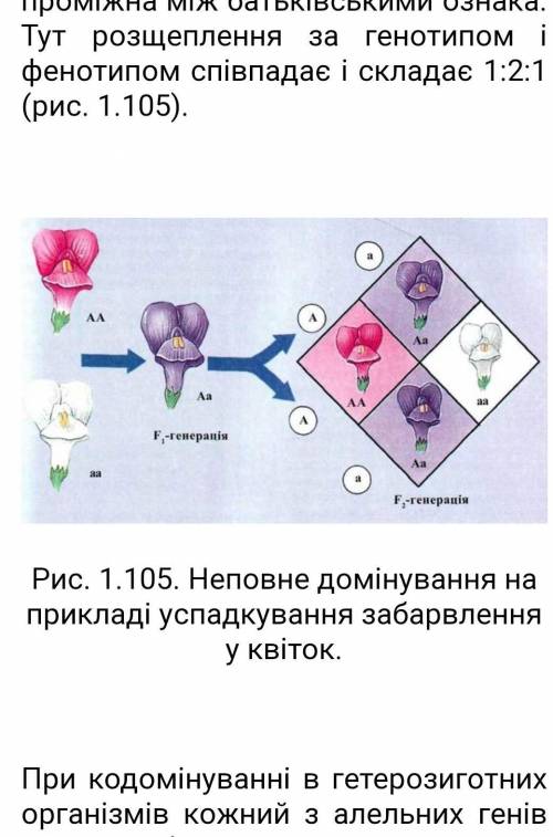 ￼￼￼⛔️Написати приклади взаємодії генів⛔️