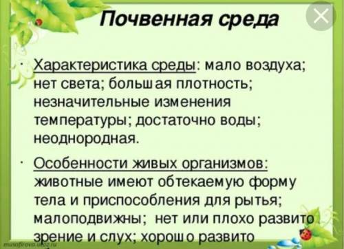 Выпишите условия присущие почве, как среде обитания.