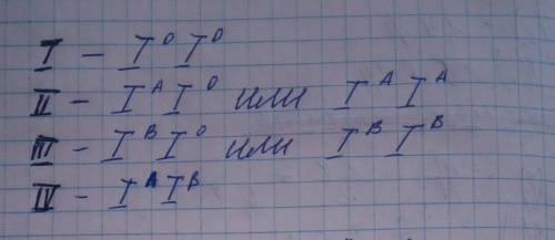 Если отец - гетерозиготная группа крови 2, а мать - гомозиготная группа крови 1, то какие группы кро