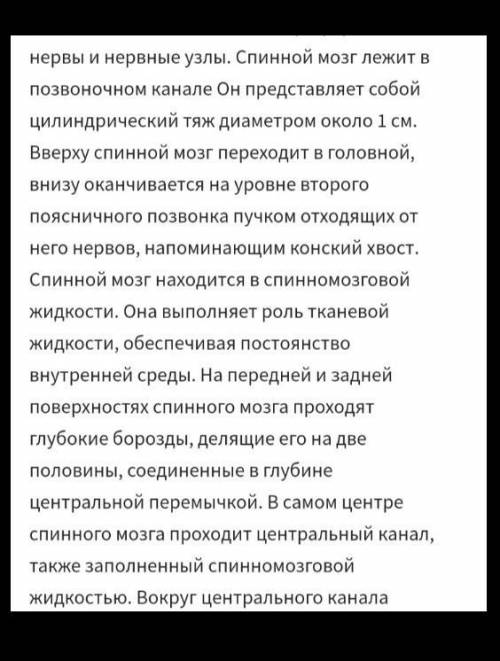 Заполните пропуски Спинной мозг лежит в ... . Он представляет собой цилиндрический тяж диаметром око