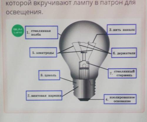 Установи соответствие между цифрами и названиями элементов лампы накаливания