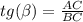 tg(\beta ) = \frac{AC}{BC} \\